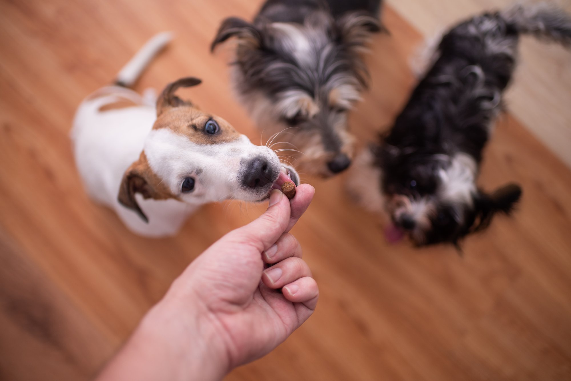 AdobeStock_331480913