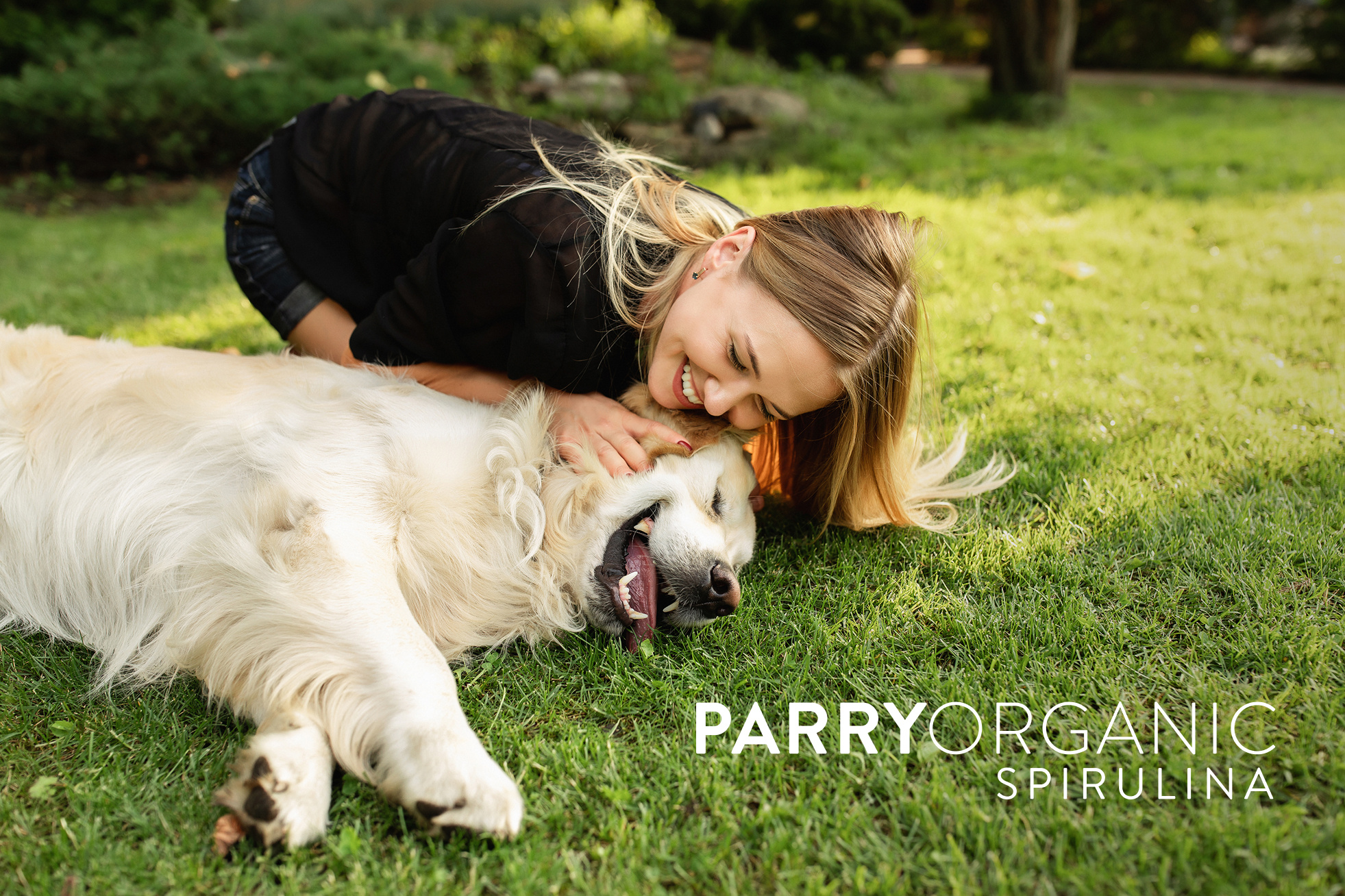 parry-dog-owner