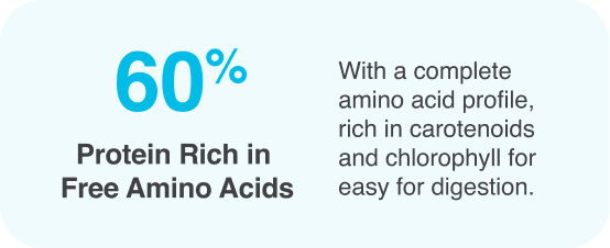 protein rich